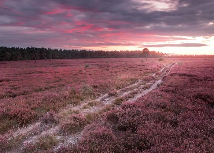 Holiday home Galtres Close To *