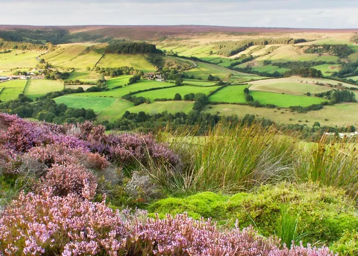 Galtres Close To * Pickering