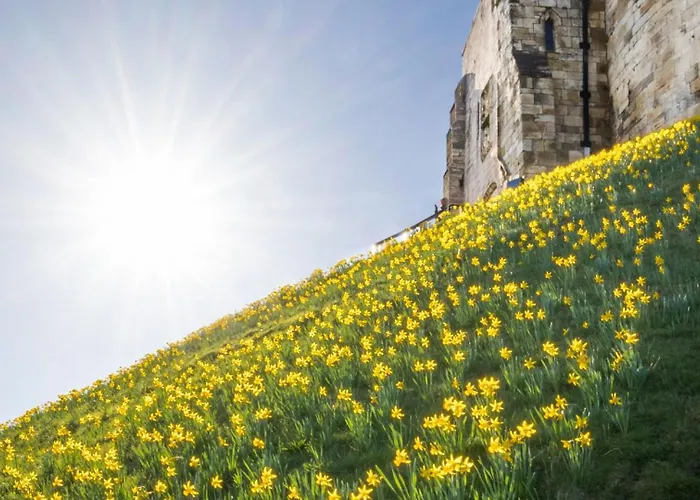 Galtres Close To Pickering