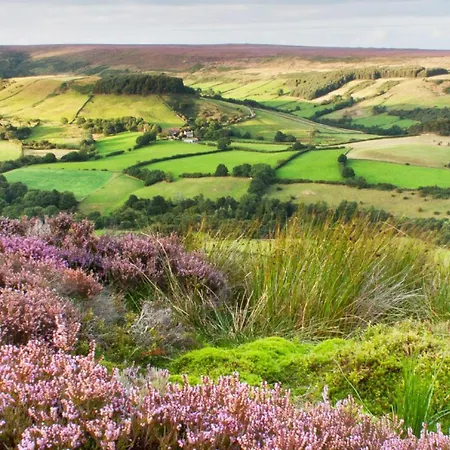 Galtres Close To * Pickering