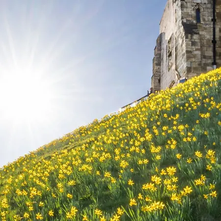 Galtres Close To Pickering