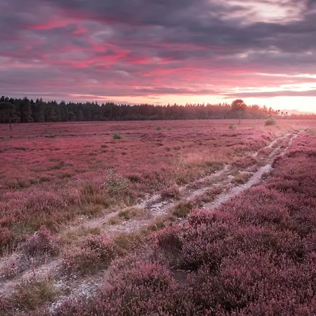 Vakantiehuis Galtres Close To *